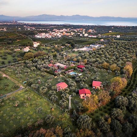 La Piana Degli Ulivi Bed & Breakfast Rossano Luaran gambar