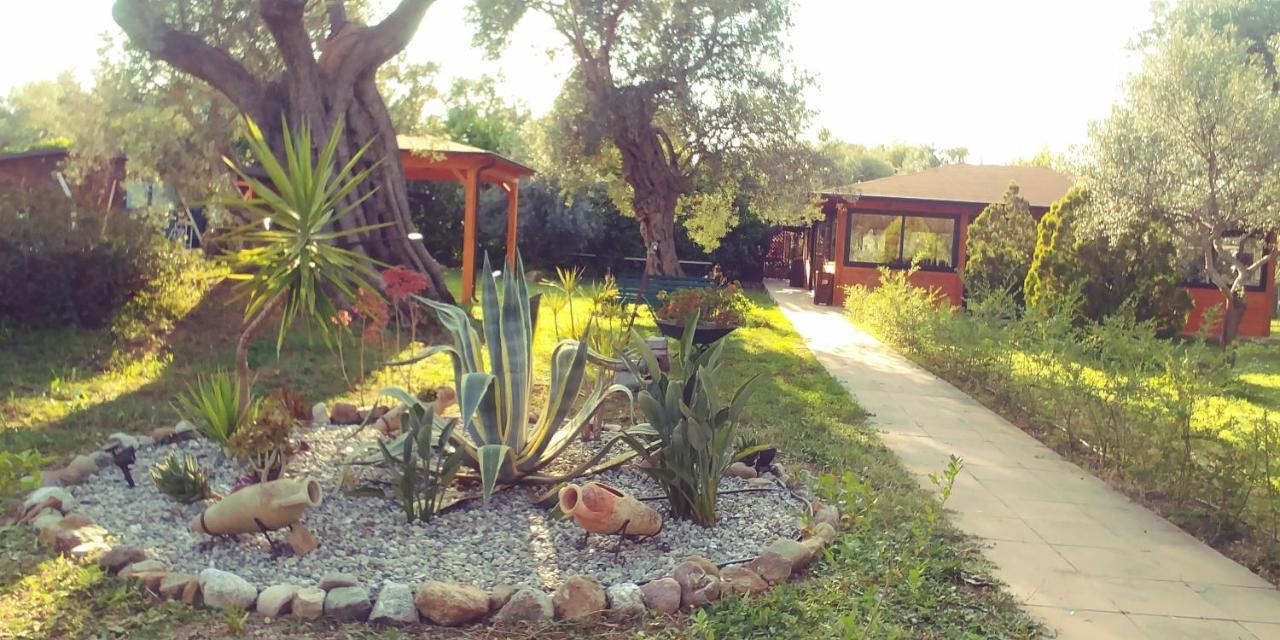La Piana Degli Ulivi Bed & Breakfast Rossano Luaran gambar