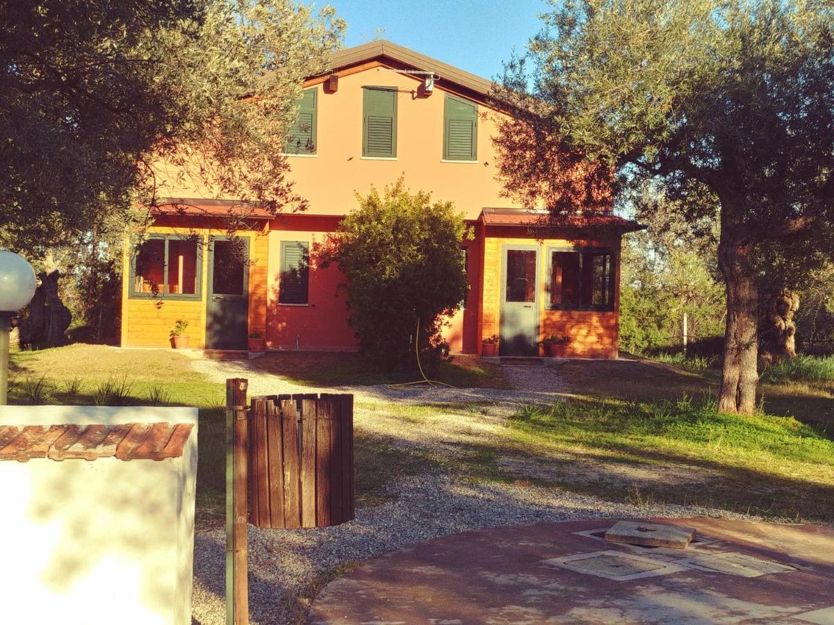 La Piana Degli Ulivi Bed & Breakfast Rossano Luaran gambar