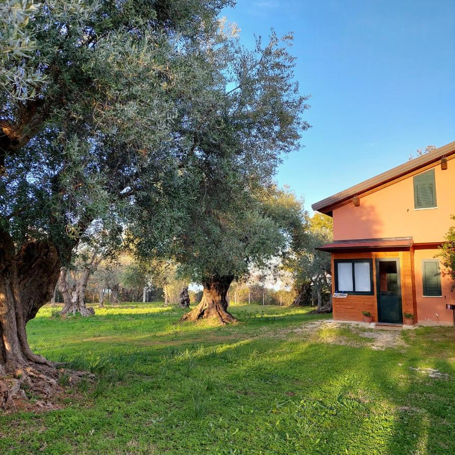 La Piana Degli Ulivi Bed & Breakfast Rossano Luaran gambar