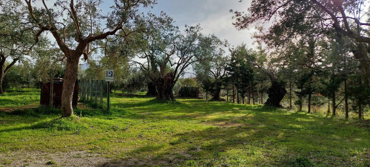 La Piana Degli Ulivi Bed & Breakfast Rossano Luaran gambar
