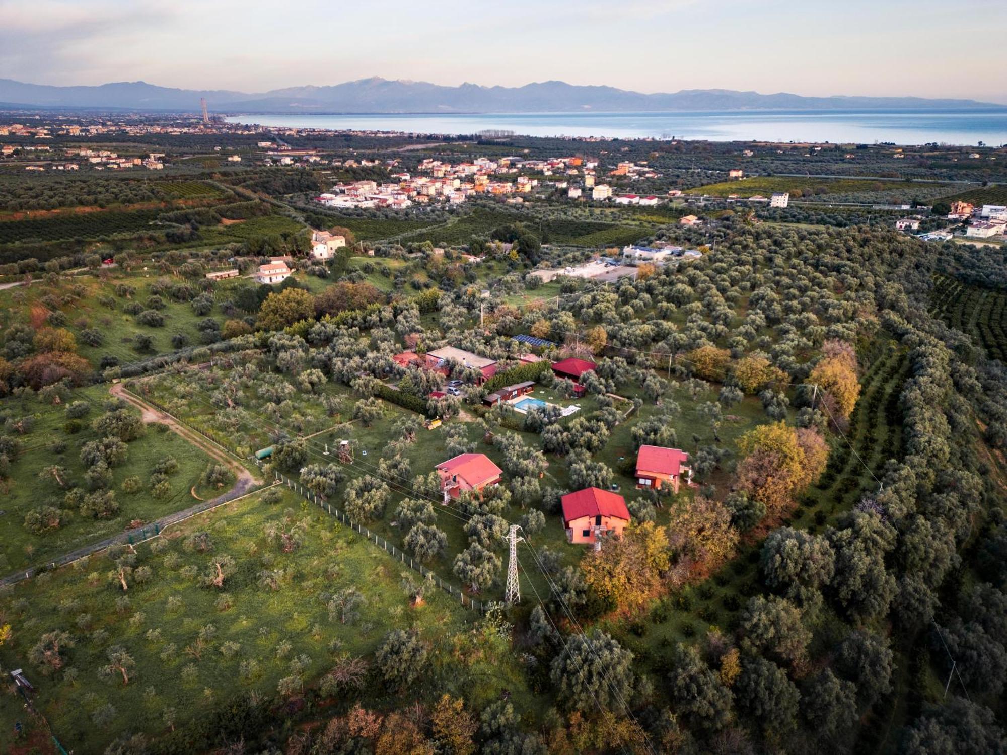 La Piana Degli Ulivi Bed & Breakfast Rossano Luaran gambar