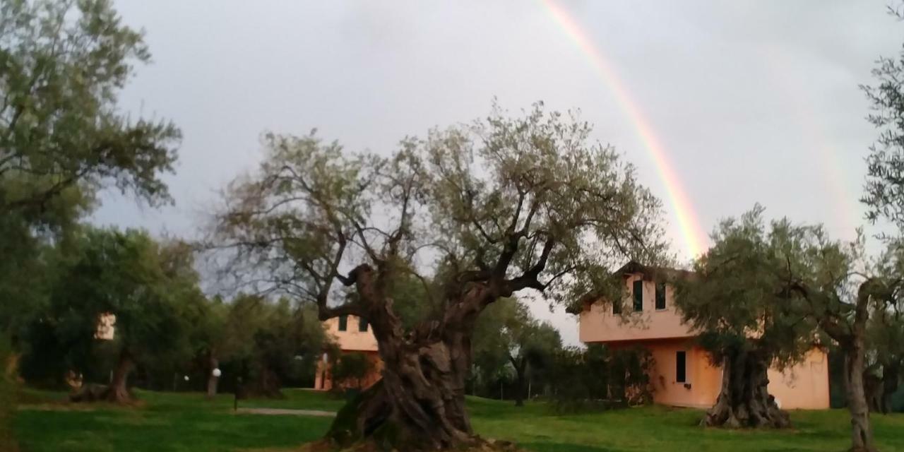 La Piana Degli Ulivi Bed & Breakfast Rossano Luaran gambar